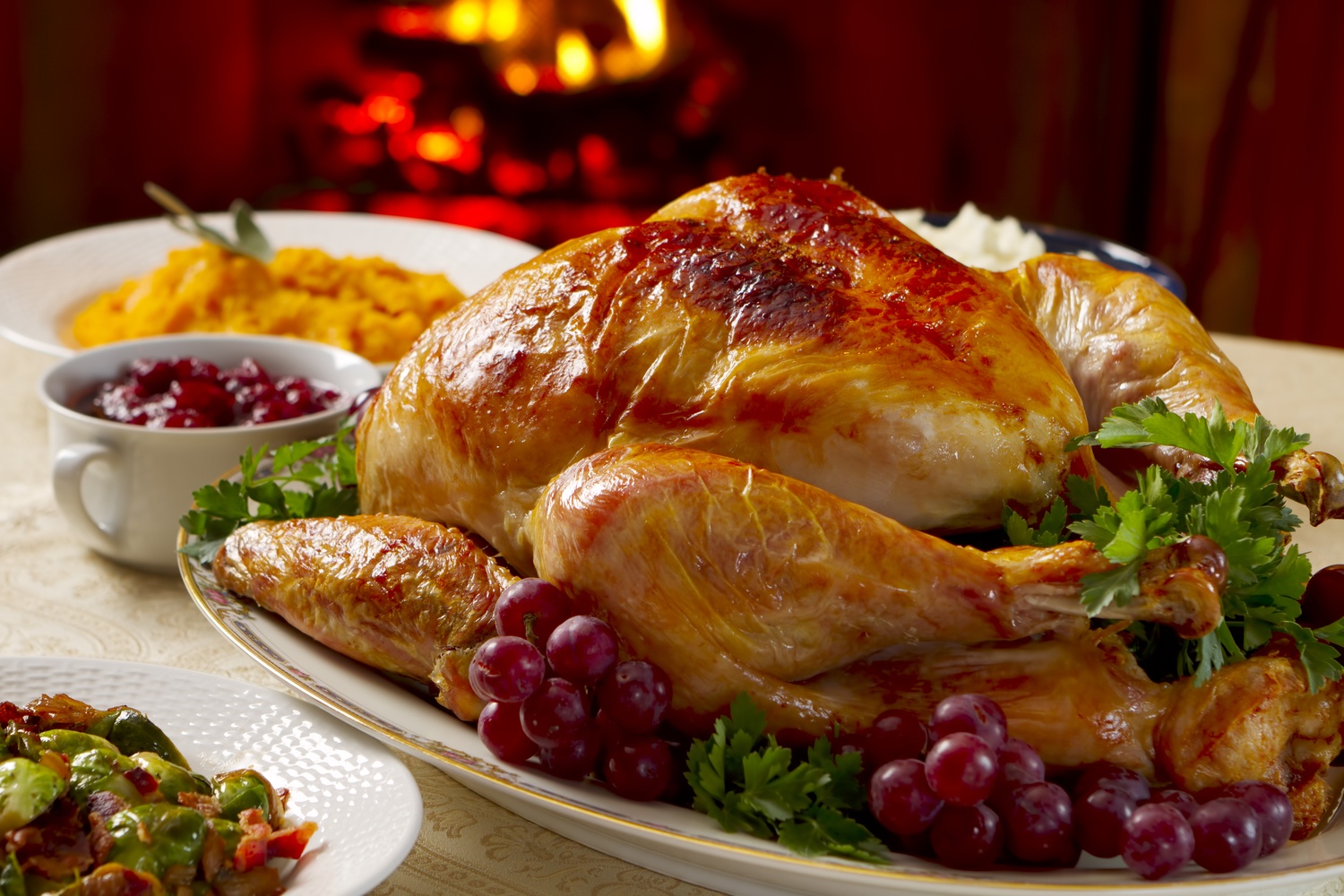 Cooked turkey dinner istock 000018412307 double