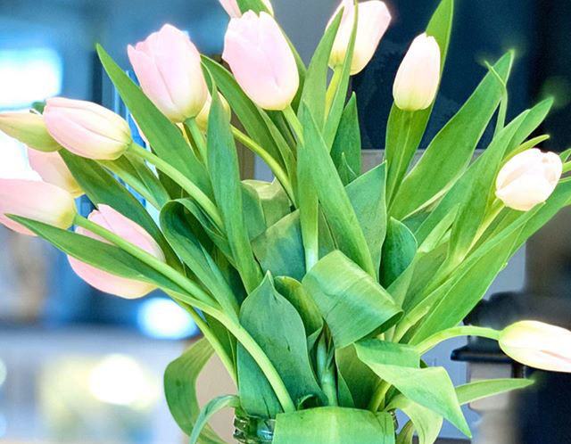 Flowers from ig